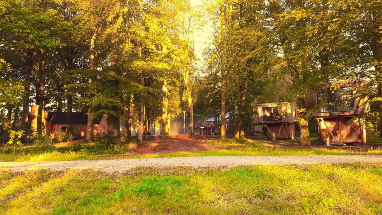 L'Etape En Foret Saint-Sever-Calvados Ngoại thất bức ảnh