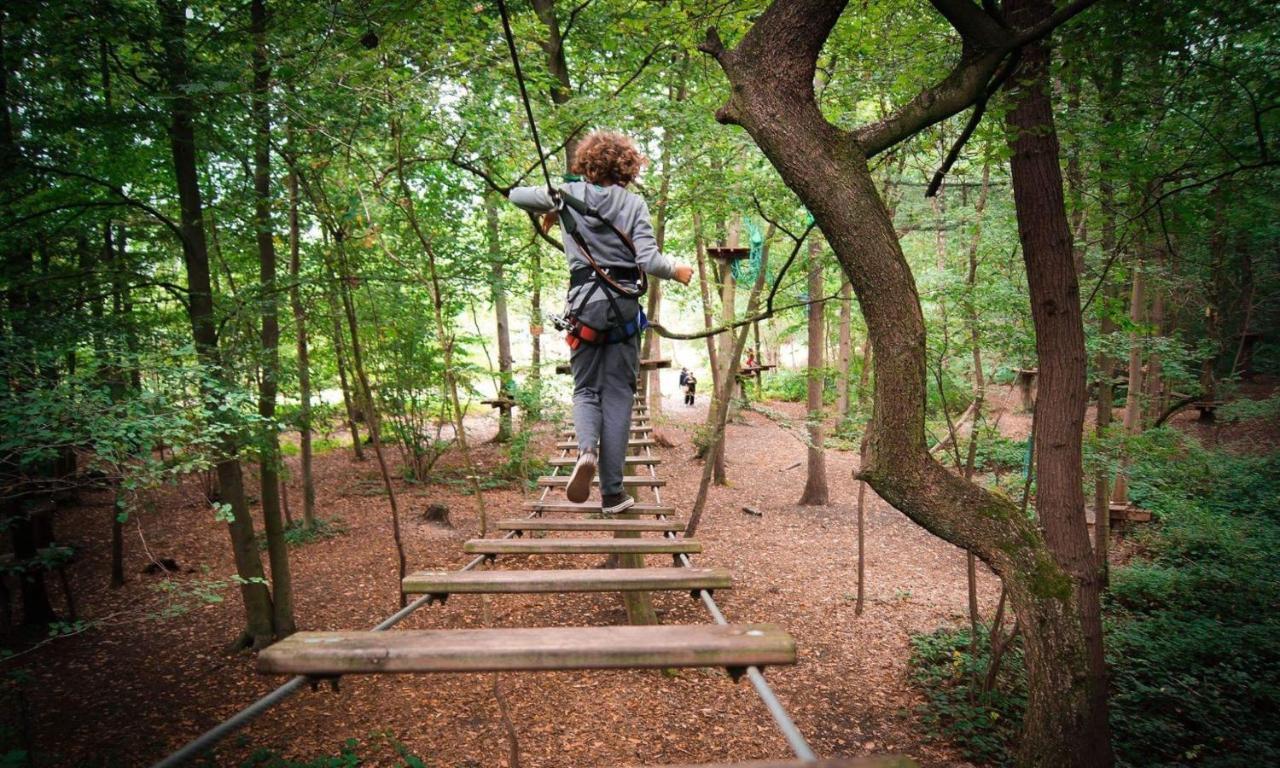 L'Etape En Foret Saint-Sever-Calvados Ngoại thất bức ảnh